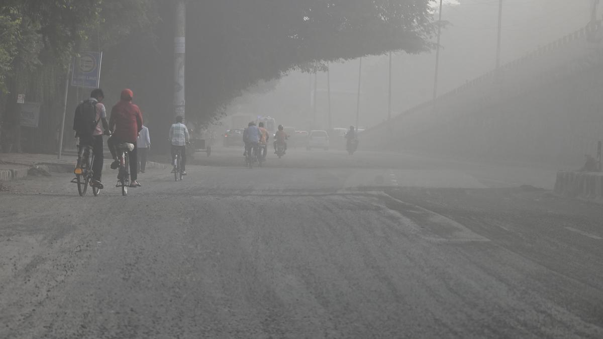 Delhi government forms to bring pollution under control at